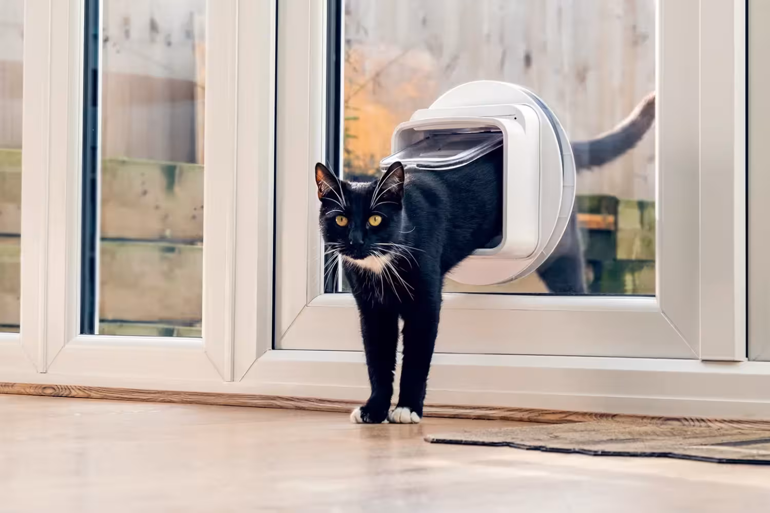 Cat flap installed in double glazed glass door